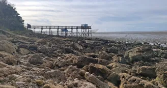 Anse de Fouras, pêche