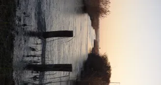 Vue sur le nid de Cigogne